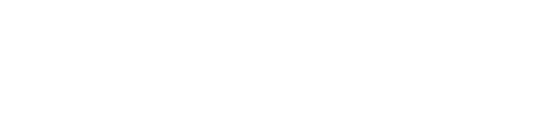 Sisinfo blanco logotype